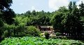 長(zhǎng)沙出發(fā)到花明樓、韶山、張家界國(guó)家森林公園、天門(mén)仙山國(guó)家森林公園四日游